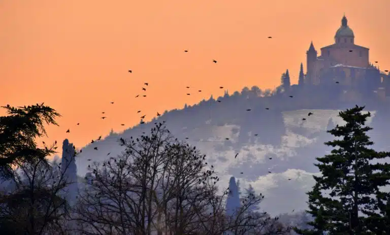 Bologna in October (2026)